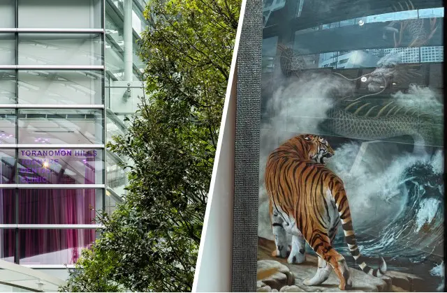 院長こだわりの龍の絵