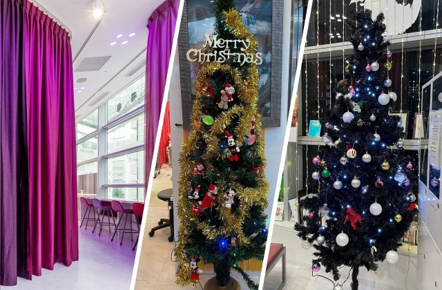Christmas trees and other seasonal interiors
